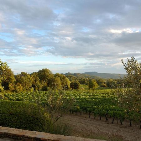 Maison Bijoux-De-Provence "Lavande" Puyméras Екстериор снимка